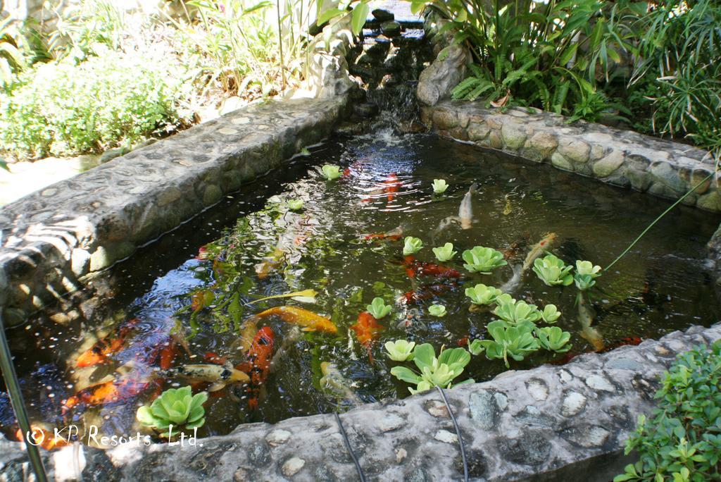 Enchanted Waters Tobago Buccoo 외부 사진